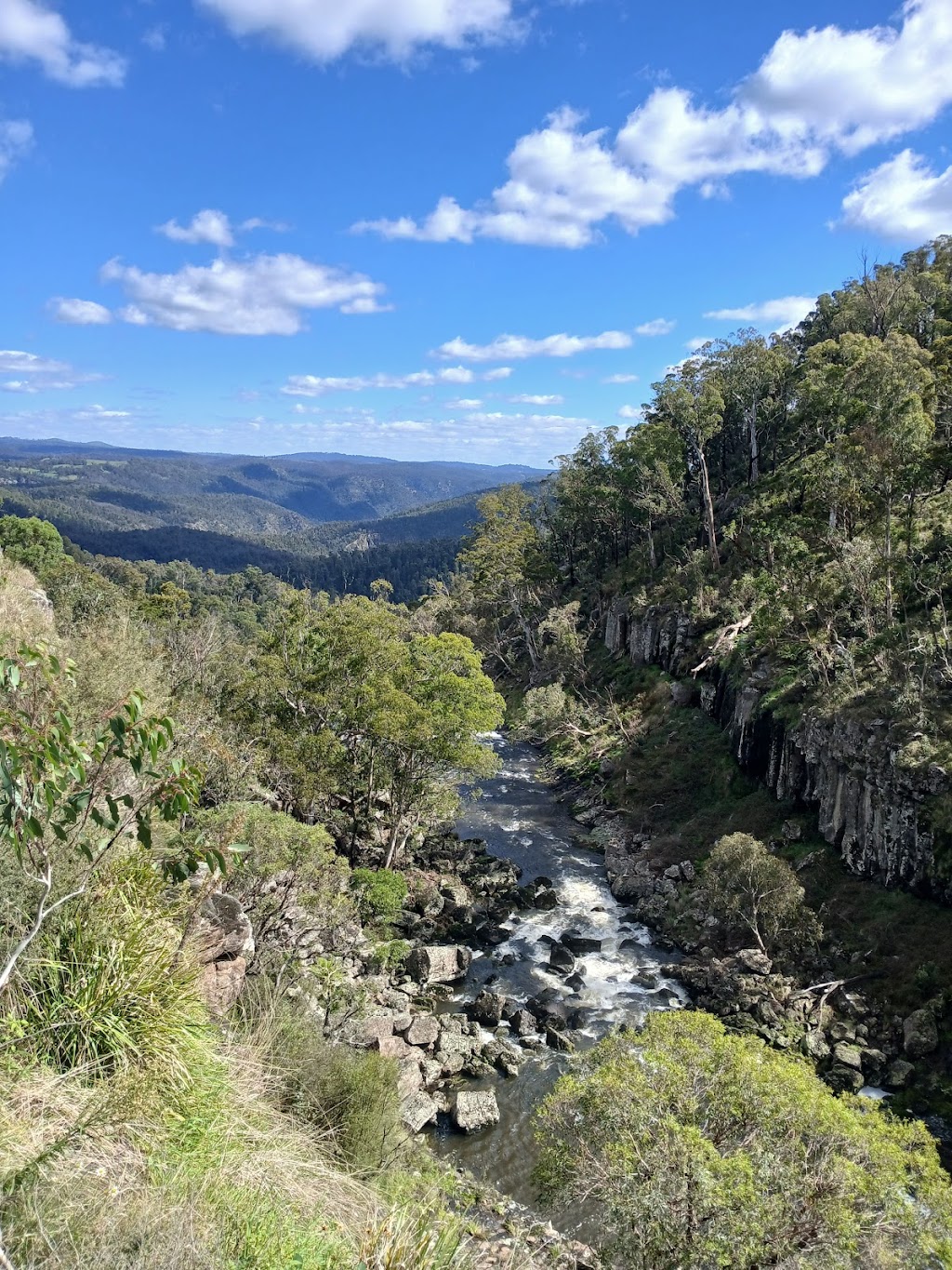 Upper Falls loop walk | Ebor Walking Track, Ebor NSW 2453, Australia | Phone: 1300 072 757