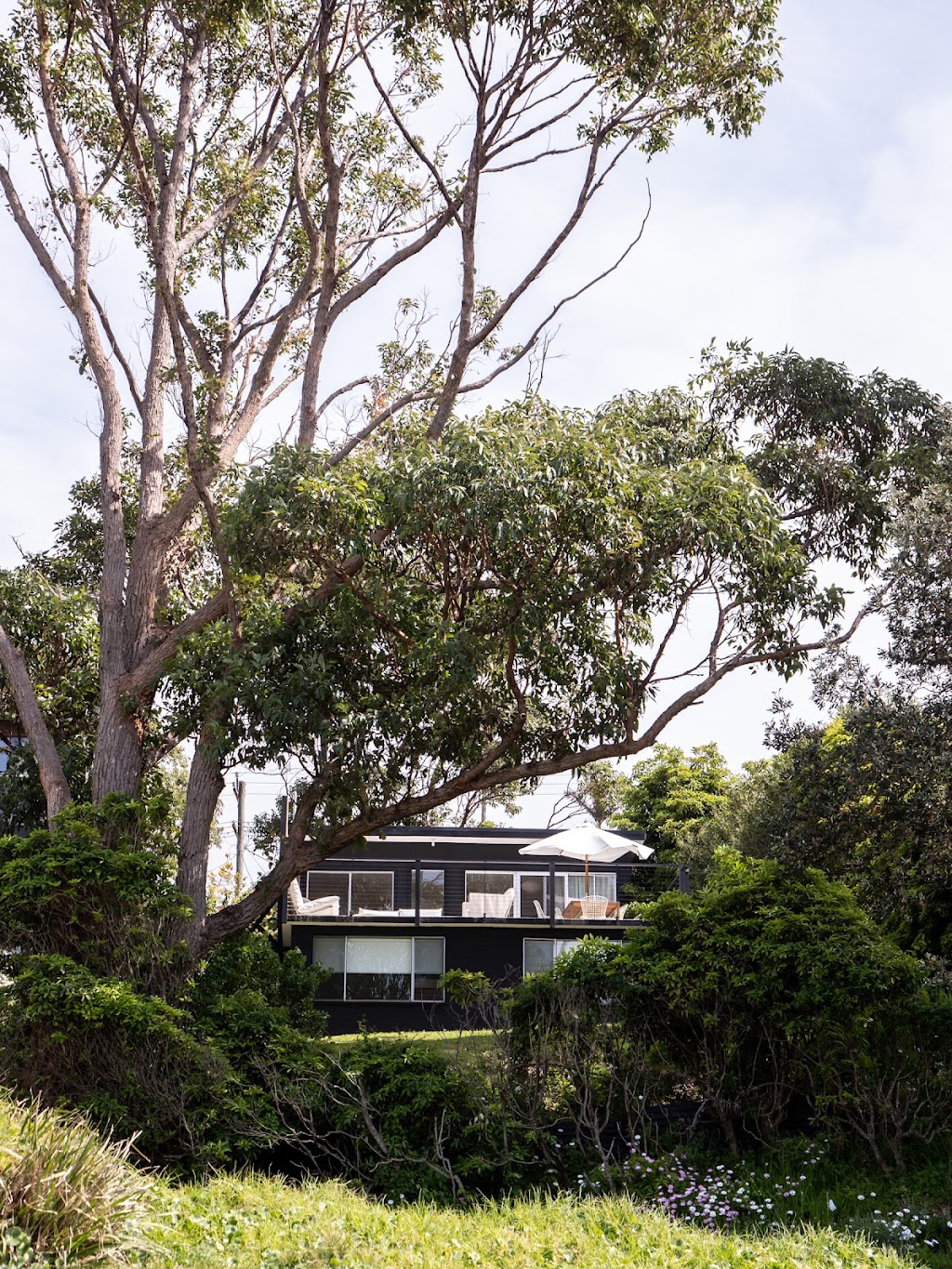 Shelter Malua | 74 Iluka Ave, Malua Bay NSW 2536, Australia | Phone: 0414 133 323