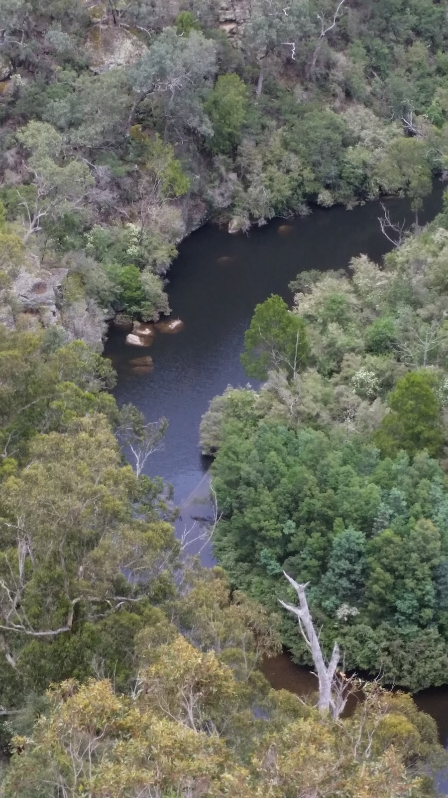 Tyers Park | Boyds Ceek Rd, Yallourn North VIC 3825, Australia | Phone: 13 19 63