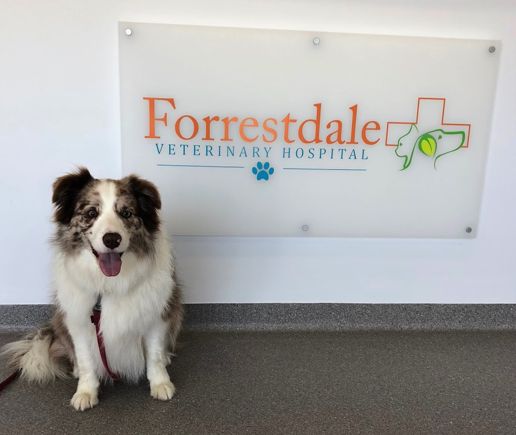 Forrestdale Veterinary Hospital | veterinary care | 5/2 Hensbrook Loop, Forrestdale WA 6112, Australia | 0895214339 OR +61 8 9521 4339