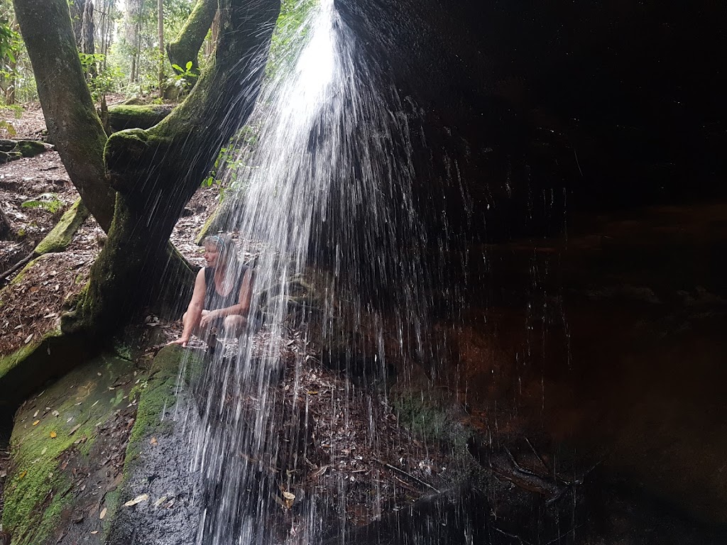 Olney State Forest | Olney NSW 2325, Australia | Phone: (02) 9872 0111