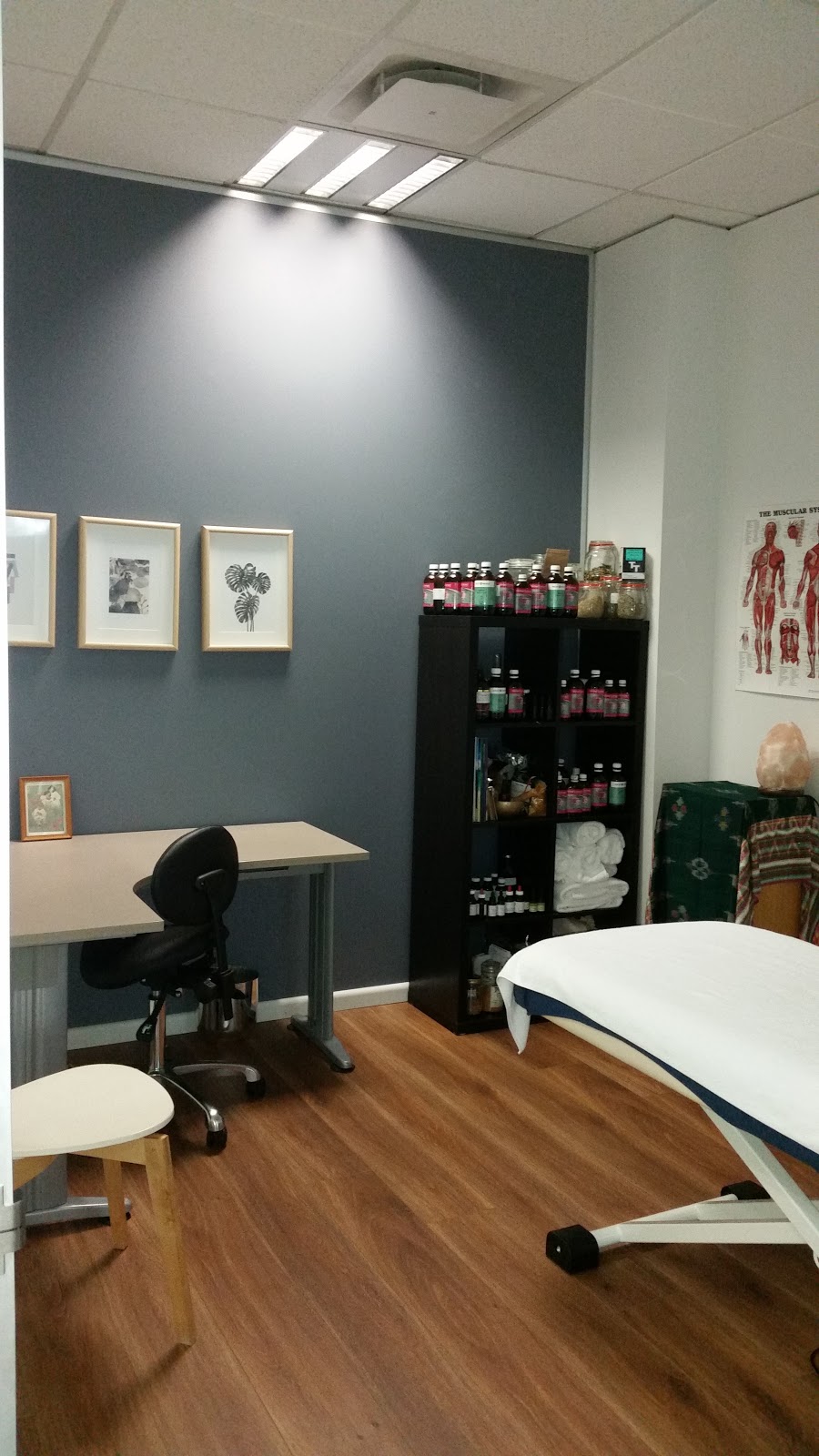 Western Health Collective | 571 Barkly St, West Footscray VIC 3012, Australia | Phone: (03) 9687 5670