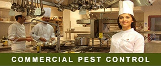 Affordable & Quality Pest Control - Liverpool | Servicing all Liverpool suburbs, Hoxton Park NSW 2171, Australia | Phone: 0414 734 793