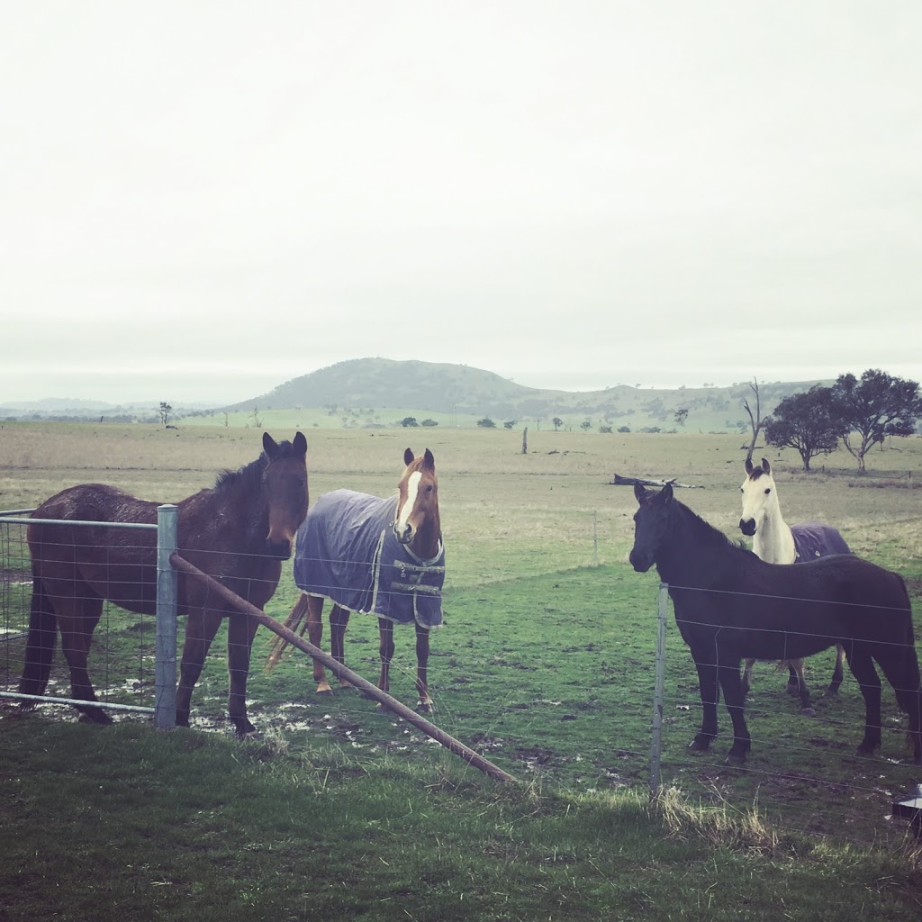 Black Range Equestrian | Black Range Rd, Yass NSW 2582, Australia | Phone: 0420 804 255