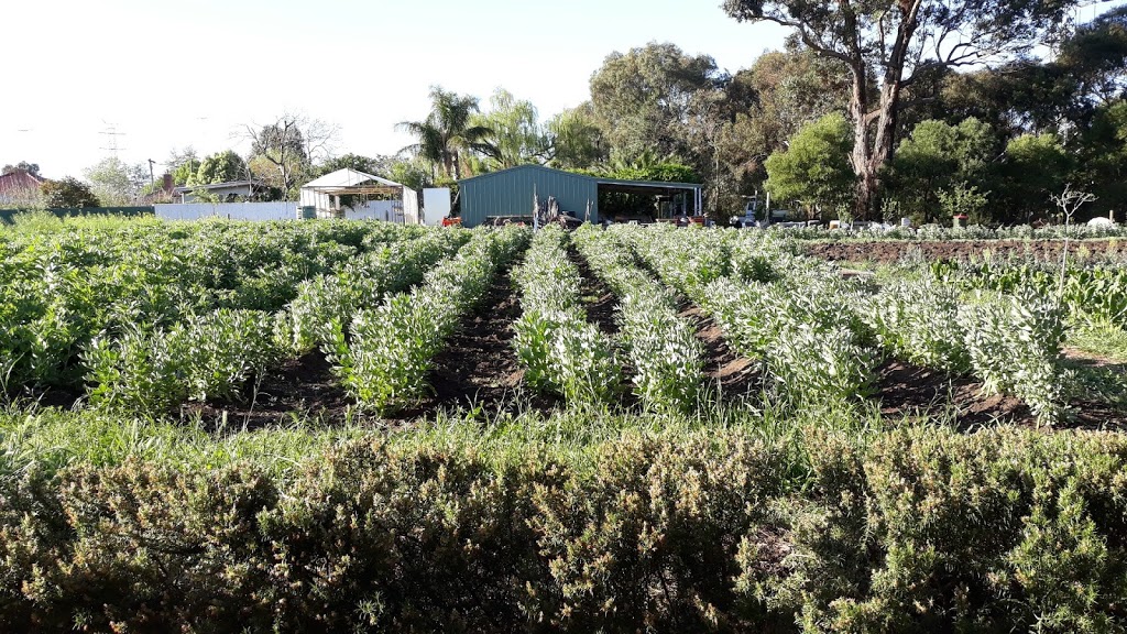 Merri Creek Market Garden | Merri Creek Trail, Brunswick East VIC 3057, Australia | Phone: (03) 9389 0100