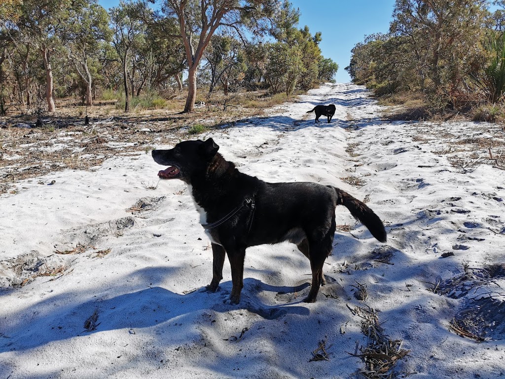 Jandakot National Park | park | Acourt Rd, Banjup WA 6164, Australia