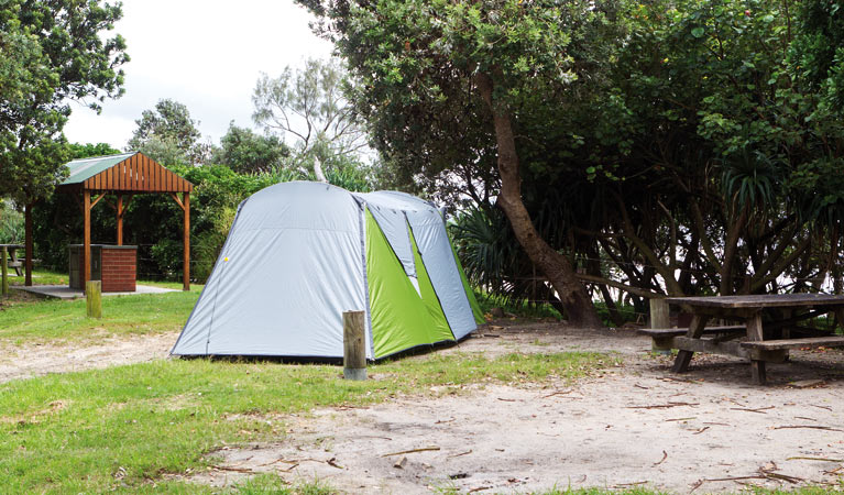 Sandon River campground | campground | Sandon River Road, The Sandon NSW 2463, Australia | 1300072757 OR +61 1300 072 757