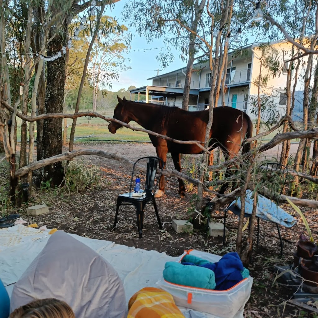 Equine Assisted Breath and Flow | Waldron Rd, Hatton Vale QLD 4341, Australia | Phone: 0402 425 009