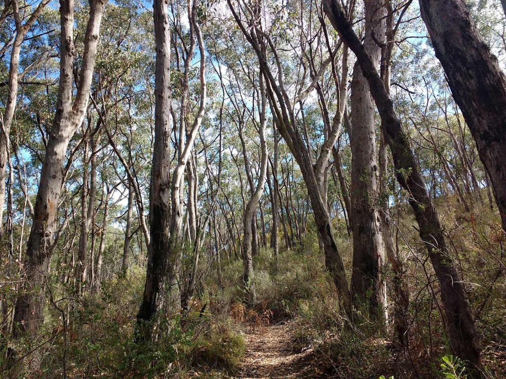 Mark Oliphant Conservation Park trailhead | 178 Scott Creek Rd, Heathfield SA 5153, Australia
