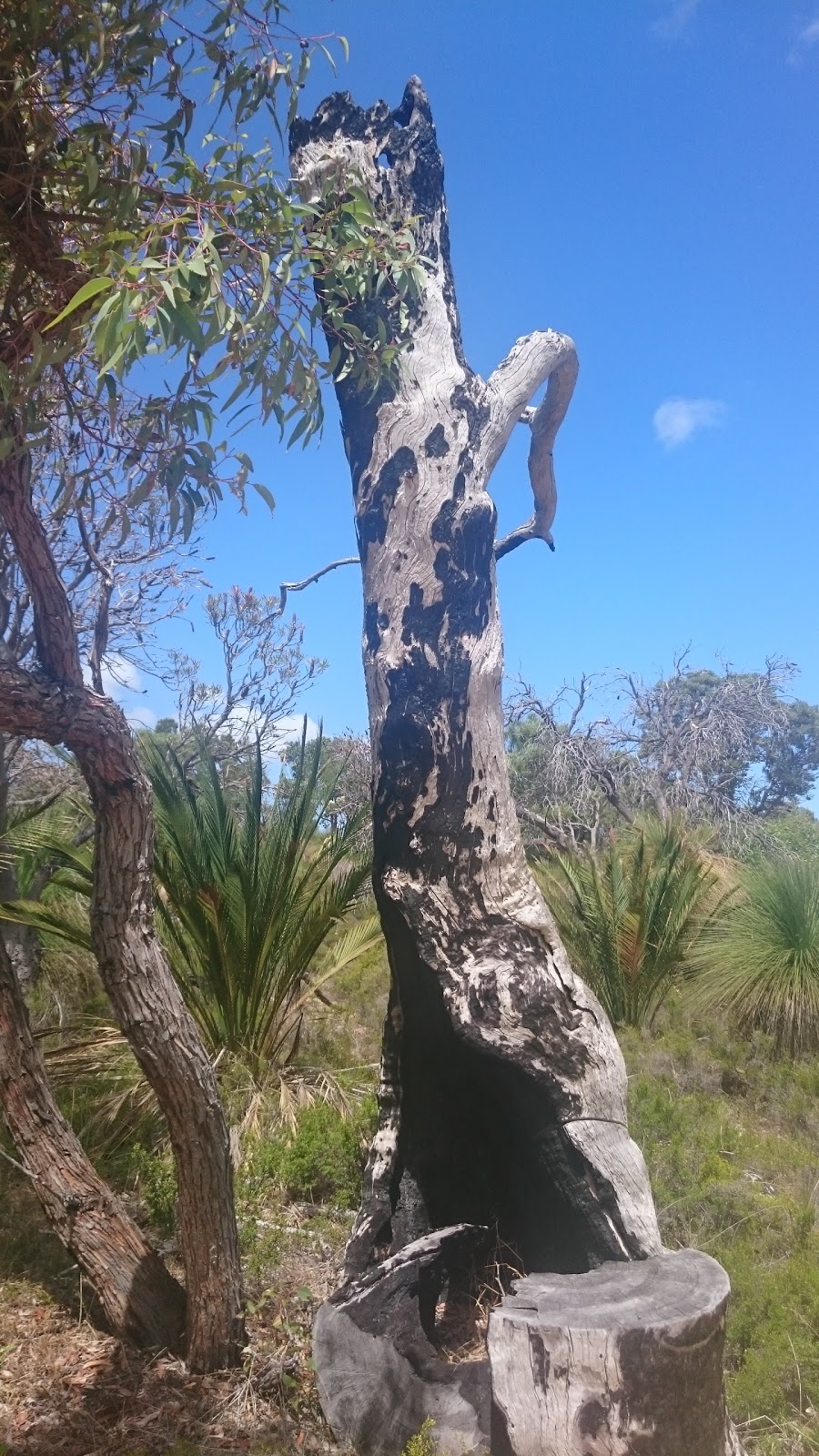 Neerabup National Park | Neerabup Rd, Neerabup WA 6031, Australia | Phone: (08) 9303 7700