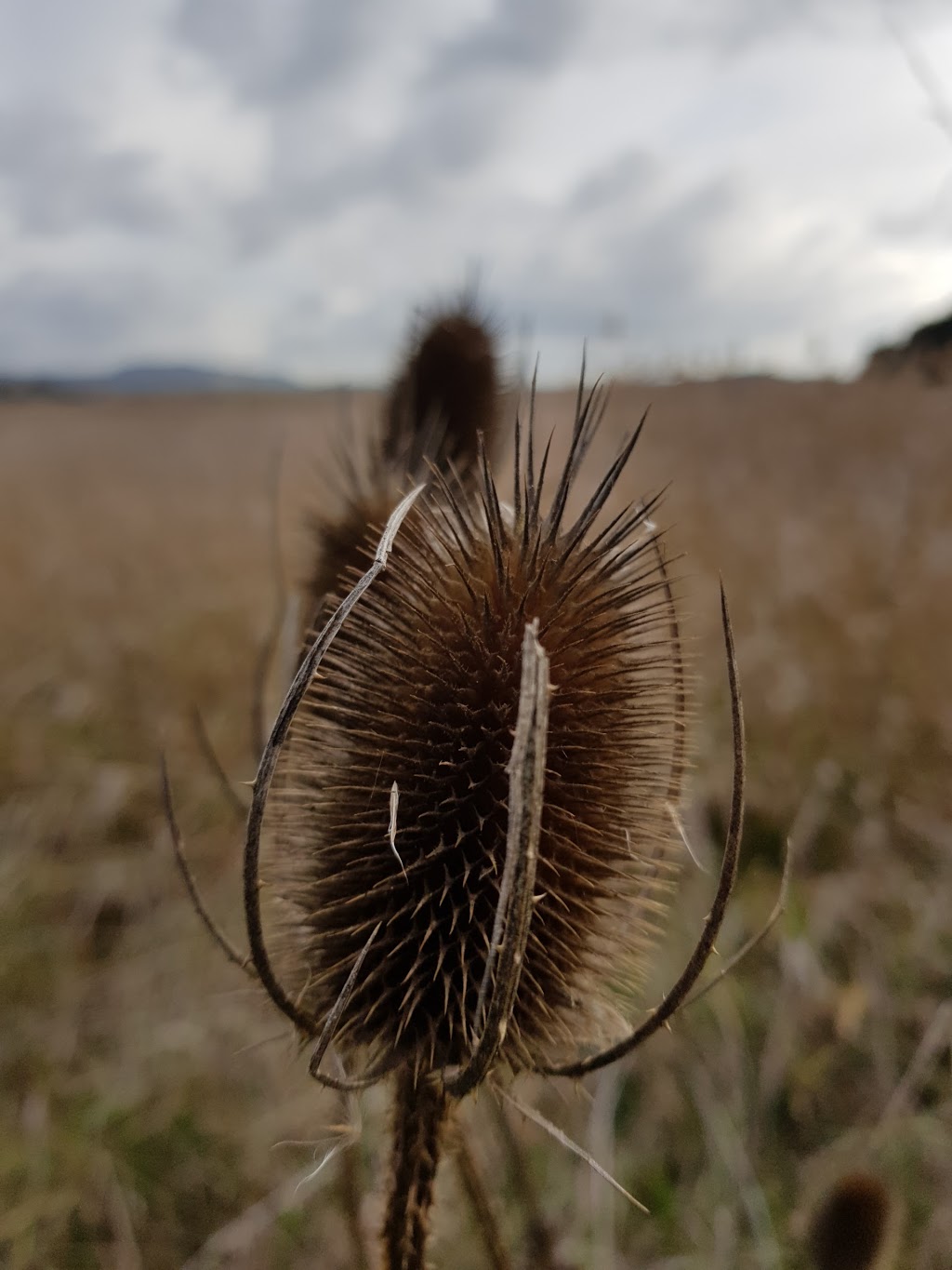 Tamar River Conservation Area | Tamar Island Walkway, Tamar Island TAS 7250, Australia | Phone: 1300 827 727