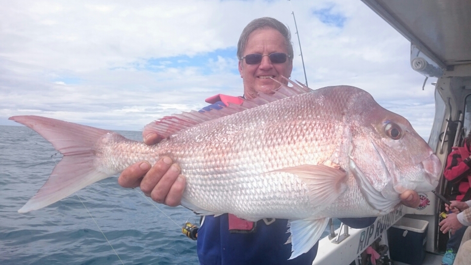 Rip Charters - Fishing Charters Sorrento, Port Phillip Bay | Esplanade, Sorrento VIC 3943, Australia | Phone: (03) 5985 6968