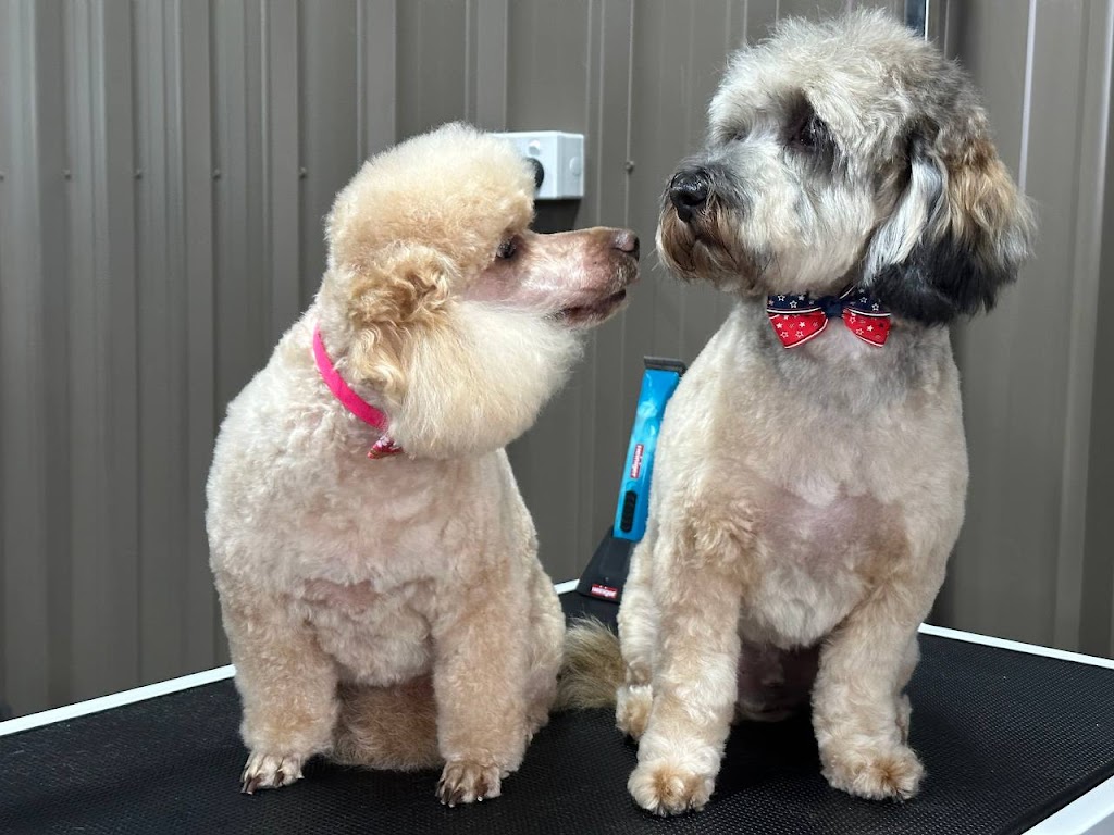 Emberlane Dog Grooming | 8 Elizabeth Dr, Griffith NSW 2680, Australia | Phone: 0491 701 326
