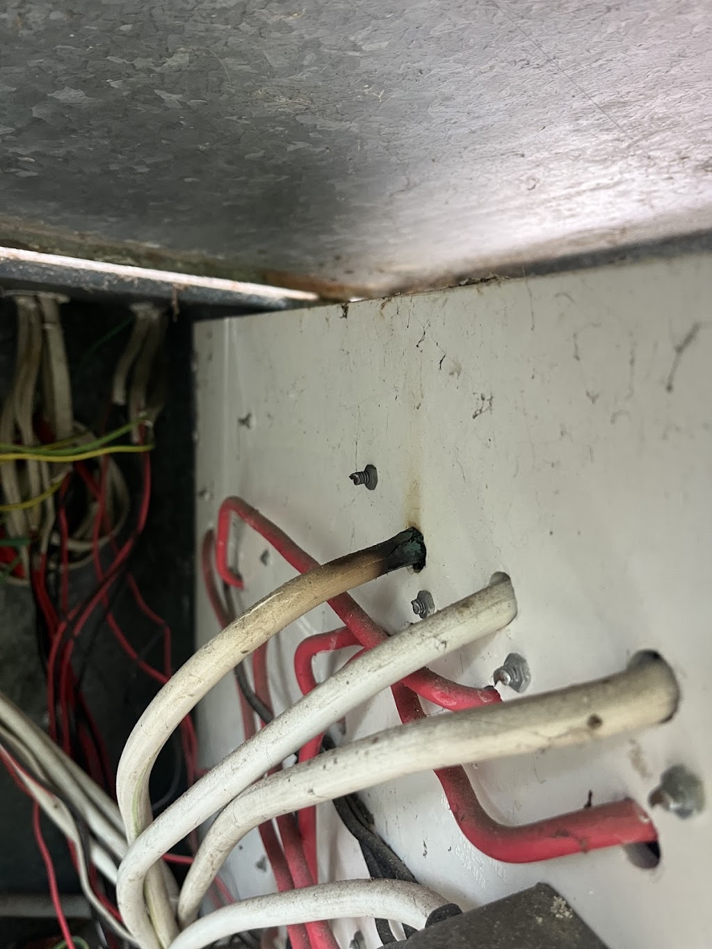 Restore Electrical | 11 Wordsworth Ave, Bateau Bay NSW 2261, Australia | Phone: (02) 4006 8338