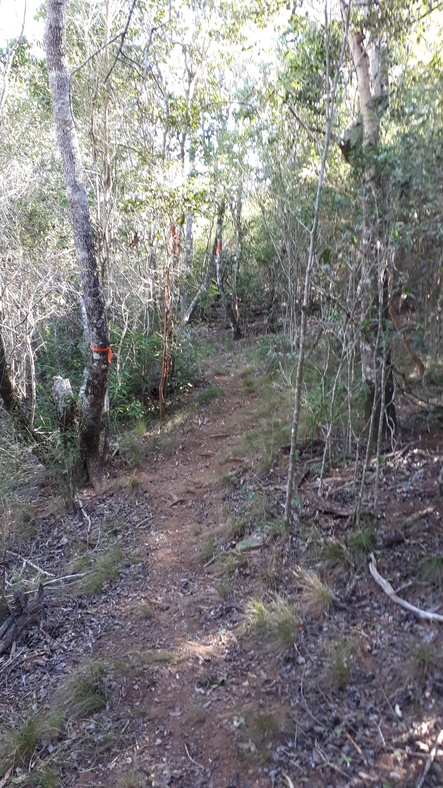 Reinke Scrub Conservation Park | park | Proston QLD 4613, Australia