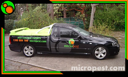 Micropest - Pest Control Sydney | 19/11-21 Rose St, Chippendale NSW 2008, Australia | Phone: 1300 884 166