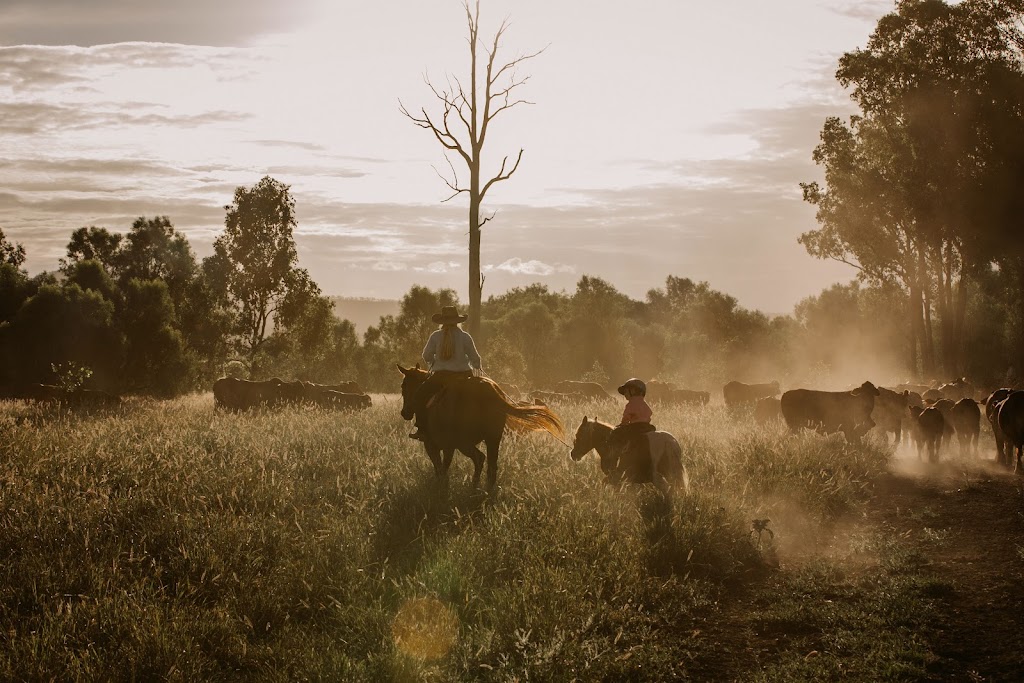 Donaldson Family Sale | 1221 Medway Ducabrook Rd, Lochington QLD 4720, Australia | Phone: 0429 412 804