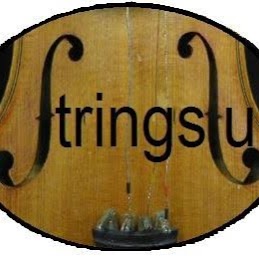 Strings2u | electronics store | 7 Chisholm Street, Wolli Creek NSW 2205, Australia | 0477885377 OR +61 477 885 377