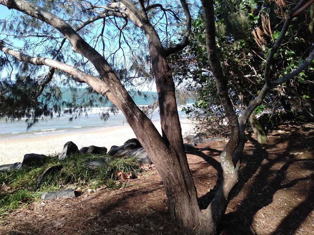 Shelly Beach, Torquay | point of interest | Esplanade, Torquay QLD 4655, Australia | 1300794929 OR +61 1300 794 929