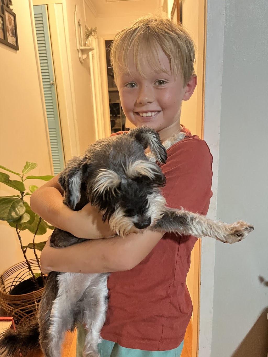 North Straddie Pet Sitting | 37 Finnegan St, Dunwich QLD 4183, Australia | Phone: 0409 418 378