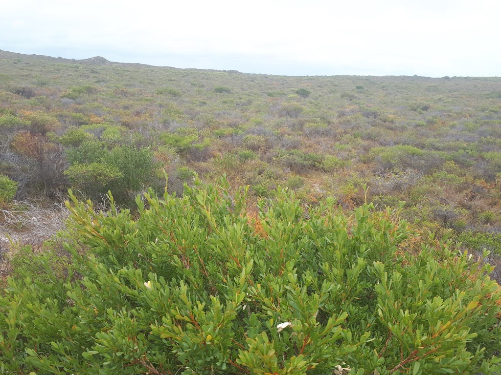 Wedge Lookout | State Route 60, Cervantes WA 6044, Australia | Phone: (08) 9652 7913