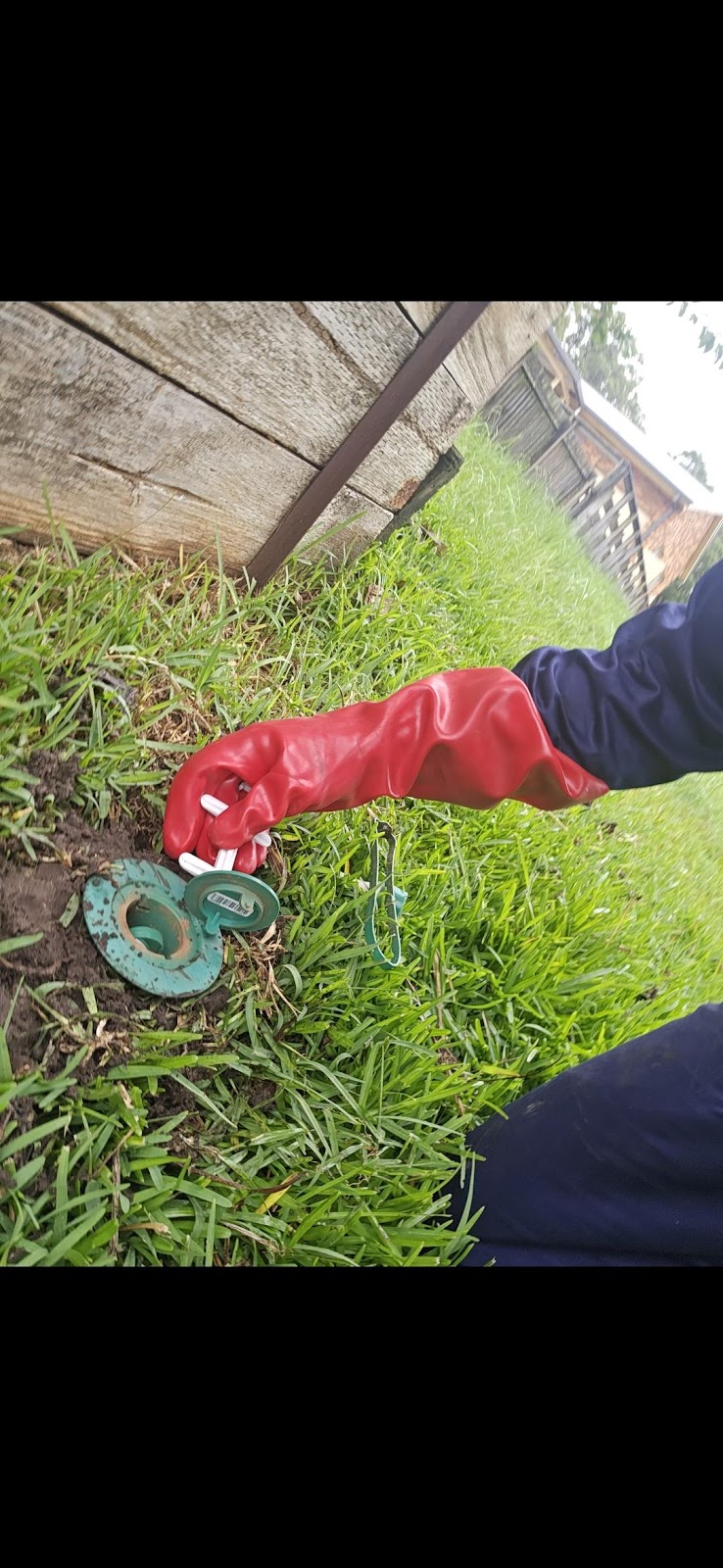 Biteless Pest Control | Kangaroo Flat VIC 3555, Australia | Phone: (03) 5446 8540