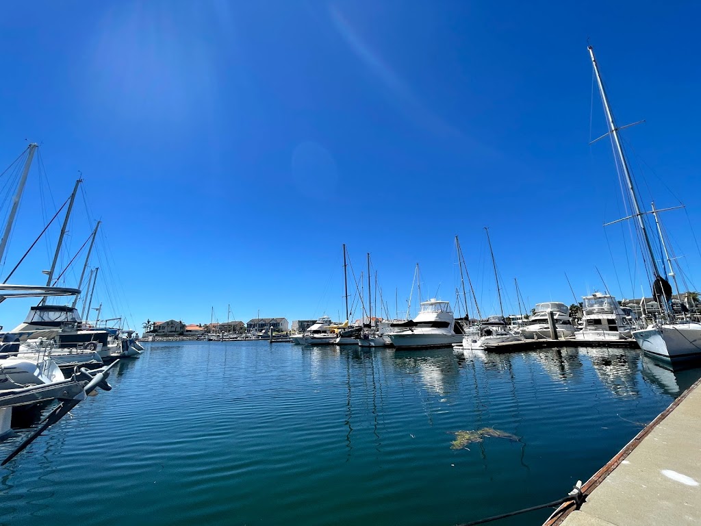 Shark Cage Diving with Calypso Star Charters | 10 S Quay Blvd, Port Lincoln SA 5606, Australia | Phone: (08) 8682 3939