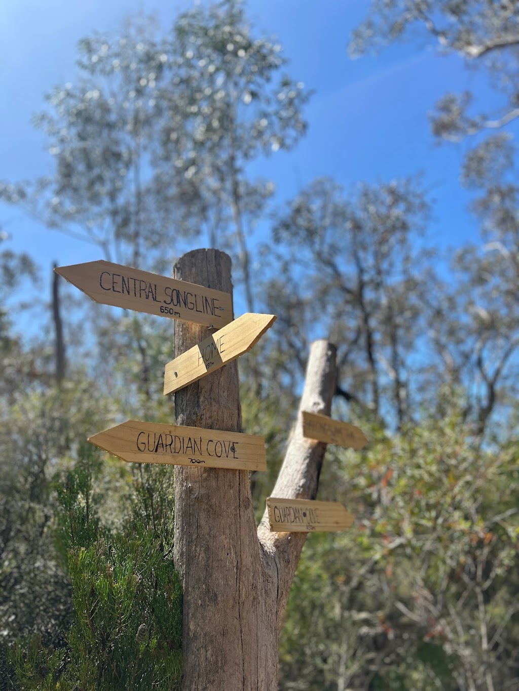 WILDACRES®️ Luxury Lodge Accommodation Blue Mountains | 193-197 Shipley Rd, Blackheath NSW 2785, Australia | Phone: 0429 782 678