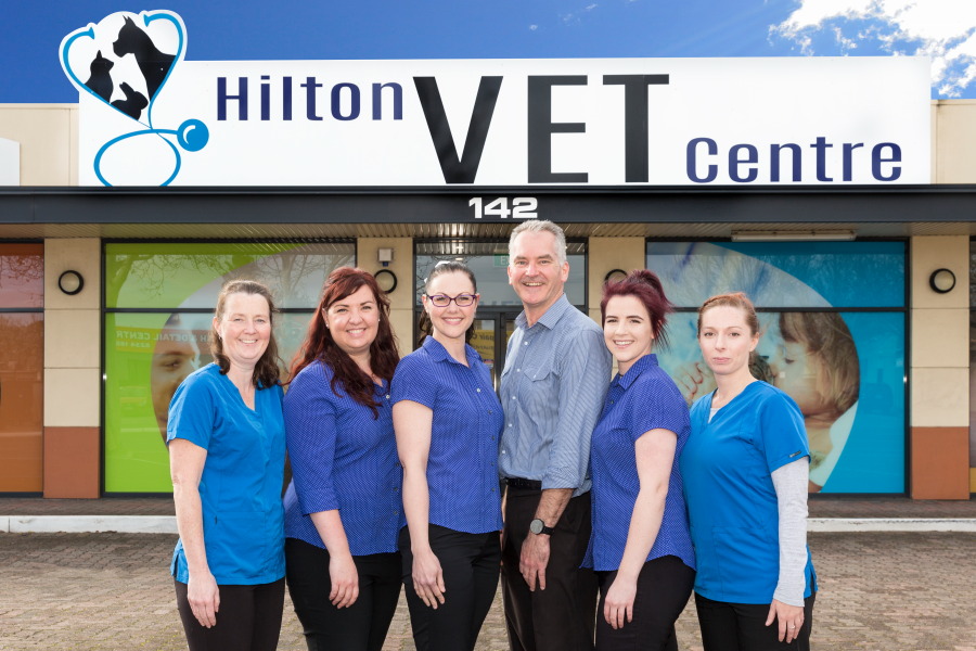 Pets Health Hilton Vet Centre | 142 Sir Donald Bradman Dr, Hilton SA 5033, Australia | Phone: (08) 8352 7000