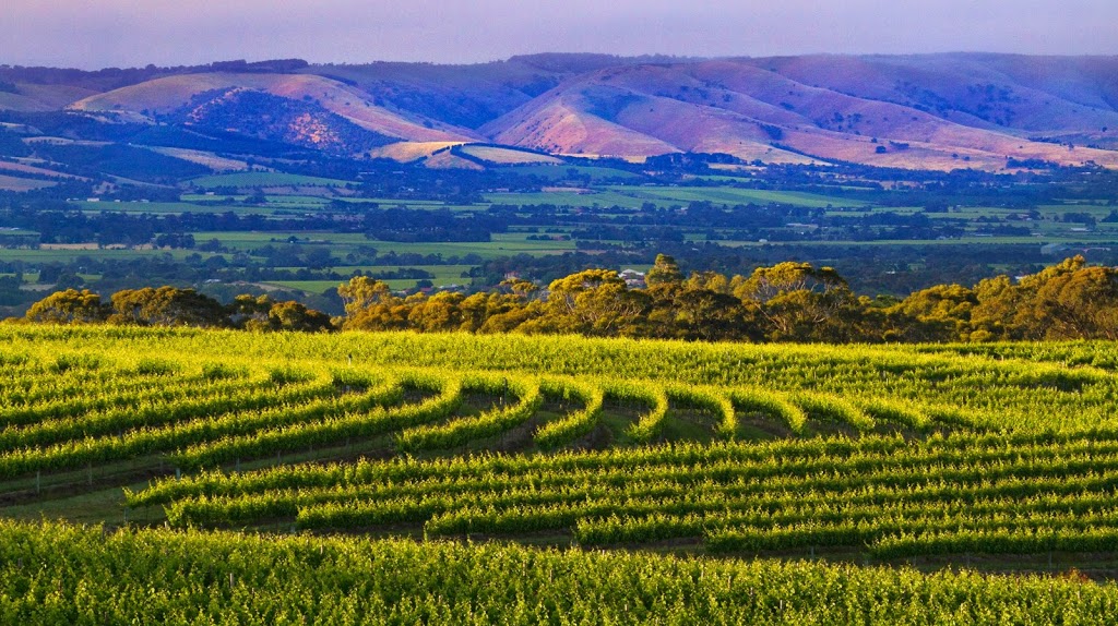 Nick Haselgrove Wines | 13 Blewitt Springs Rd, McLaren Flat SA 5171, Australia | Phone: 0419 383 907