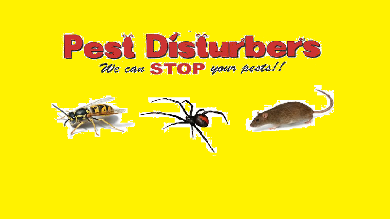 Pest Disturbers PTY LTD | home goods store | 26 George St, Ashwood VIC 3147, Australia | 1800422482 OR +61 1800 422 482