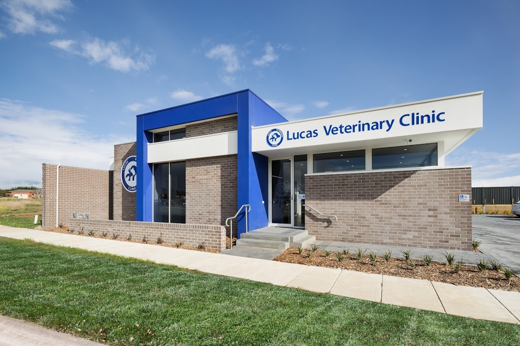 Lucas Veterinary Clinic | veterinary care | 9 Merz St, Lucas VIC 3350, Australia | 0353039000 OR +61 3 5303 9000