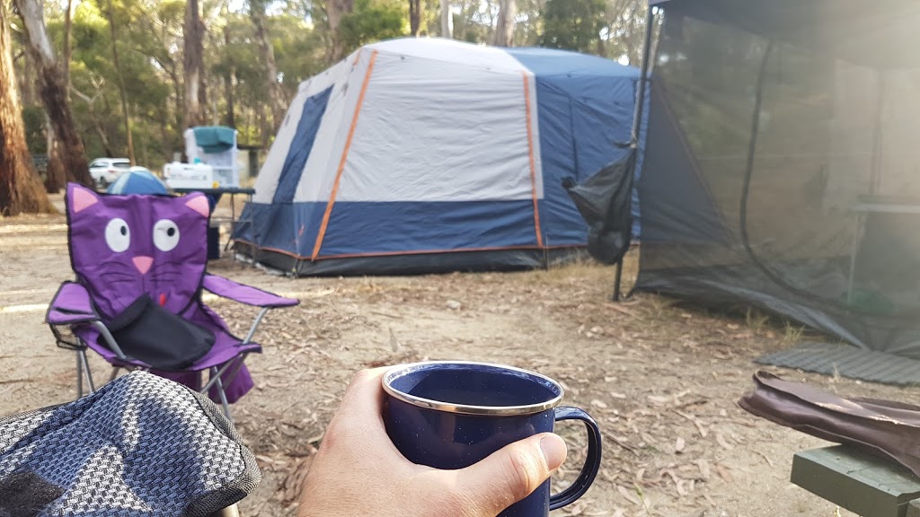 Slaty Creek Campground 1 | Petticoat Link Track, Cabbage Tree VIC 3889, Australia