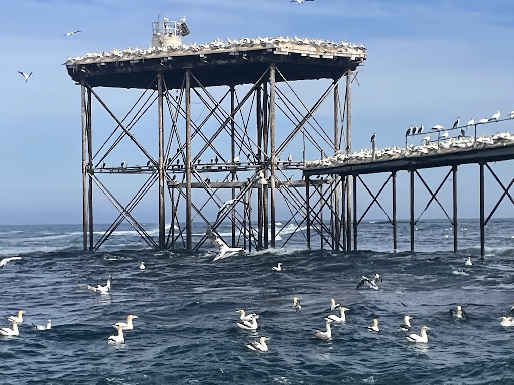 Limestone Coast Boat Tours | Lake Butler Marina, Lake Rd, Robe SA 5276, Australia | Phone: 0427 672 961