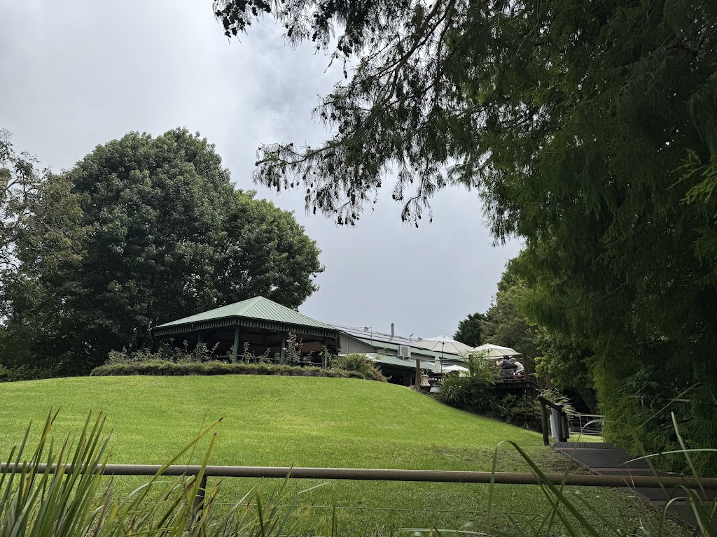 Cedar Creek Estate Winery | 104 Hartley Rd, Tamborine Mountain QLD 4272, Australia | Phone: 0406 706 063