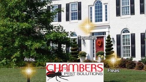 Chambers Pest Solutions | home goods store | 5 Greenmount Heights, Hillarys WA 6025, Australia | 0893132871 OR +61 8 9313 2871