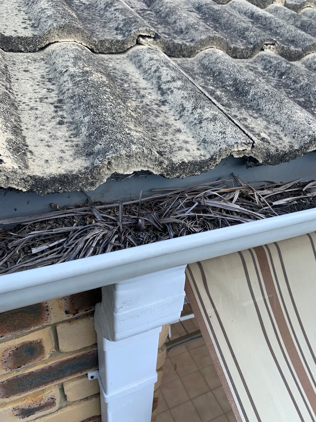 Berserker Gutters |  | 1 Walnut St, Elanora QLD 4221, Australia | 0401000191 OR +61 401 000 191