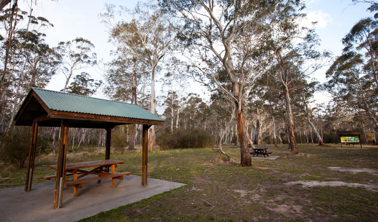 Berlang campground | campground | Big Hole Marble Arch Walk, Krawarree NSW 2622, Australia | 0244760800 OR +61 2 4476 0800