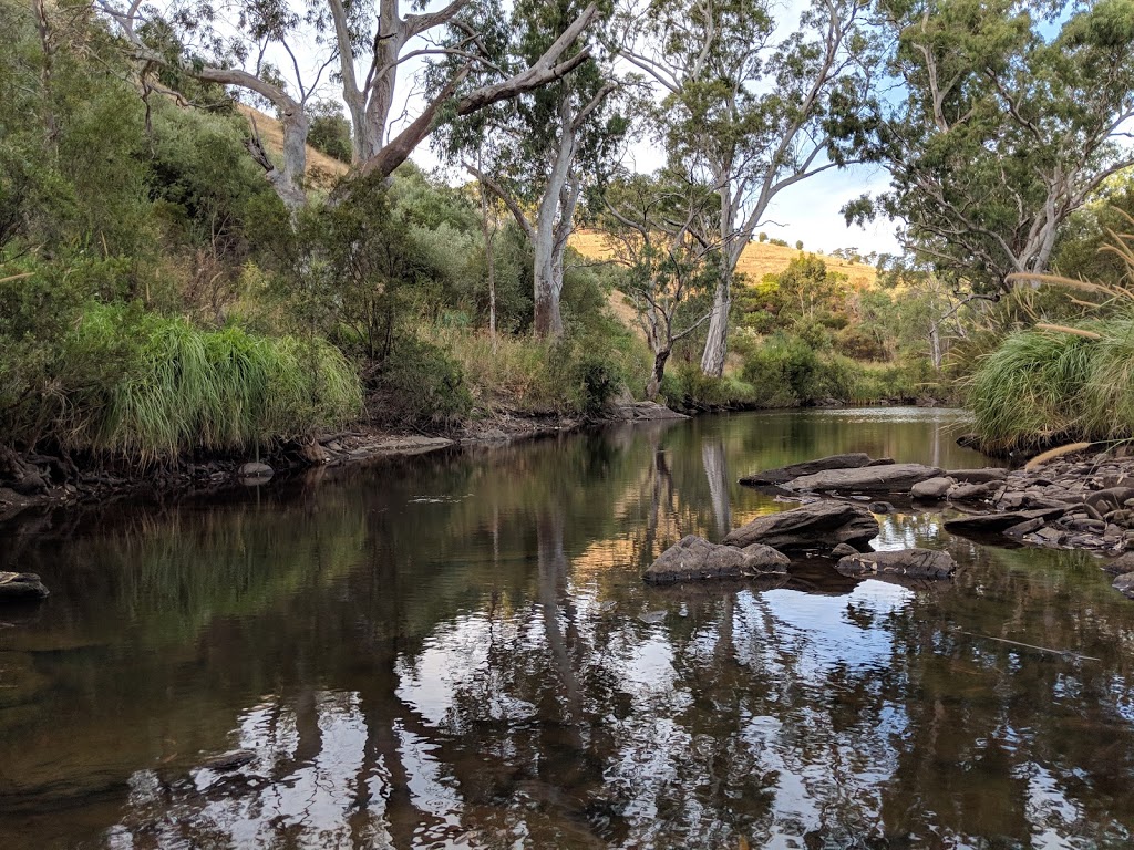 Pink Gum Campground | park | Blewitt Springs SA 5171, Australia | 0885503400 OR +61 8 8550 3400