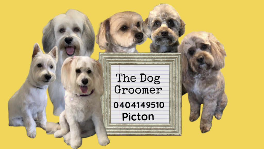 The Dog Groomer | 11 Tarrant Cl, Picton NSW 2571, Australia | Phone: 0404 149 510