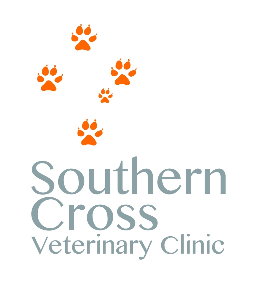 Southern Cross Vet SEQ | veterinary care | 20 Jersey Ct, Tallebudgera QLD 4228, Australia | 0418777023 OR +61 418 777 023
