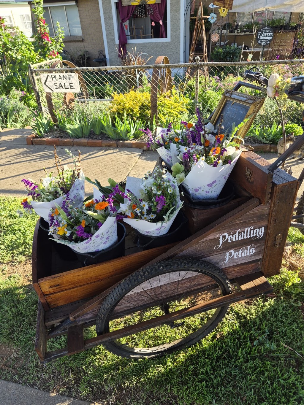 Dragonfly Designs flower cart & plant stall | 64 Mayne St, Gulgong NSW 2852, Australia | Phone: 0401 381 918