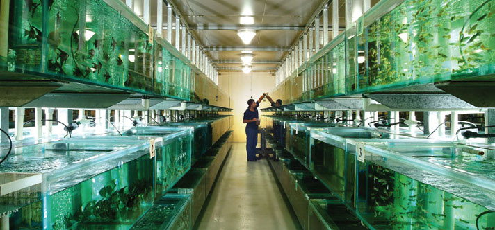 Aquarium Industries Pty Ltd. | 26 Shirley Way, Epping VIC 3076, Australia | Phone: (03) 9409 9300