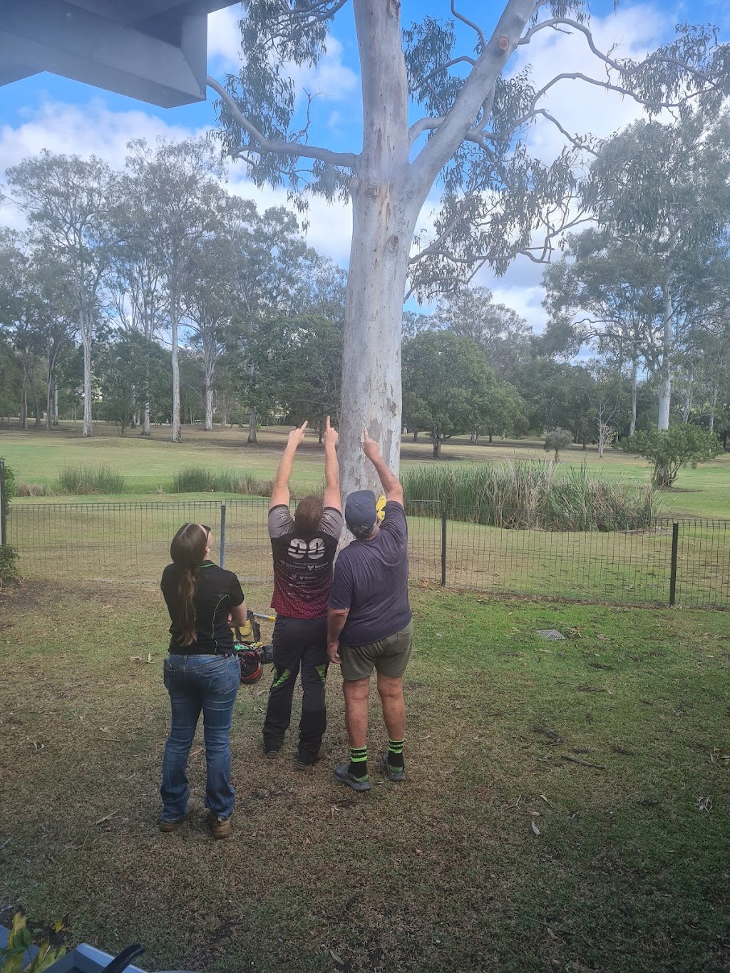 Jungle Jess Pty Ltd | 50 Garlinge Ct, Bonogin QLD 4213, Australia | Phone: 0480 473 902