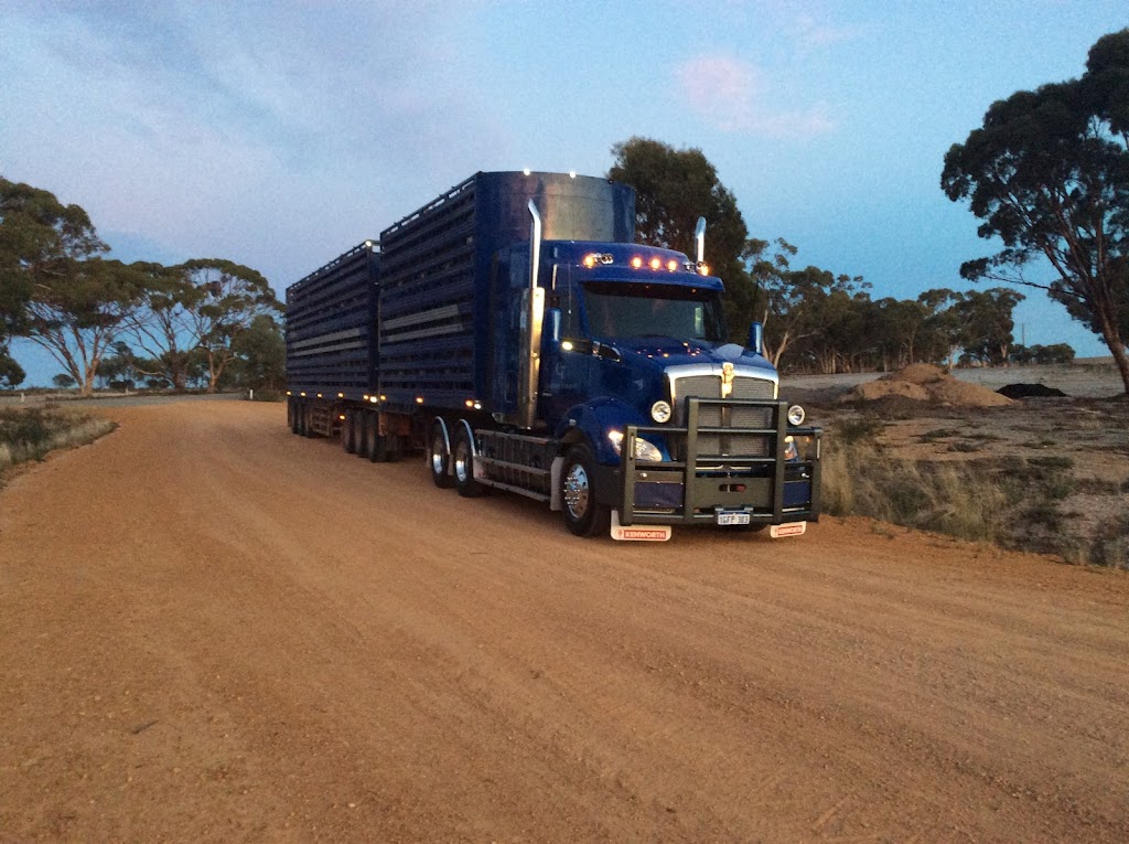 Cunderdin Transport Pty Ltd | 37 Olympic Ave, Cunderdin WA 6407, Australia | Phone: 0418 915 636