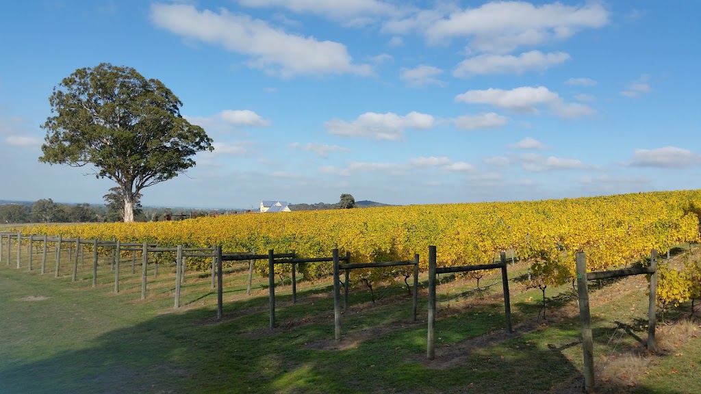 Blue Gables Vineyard | 100 Lanigan Rd, Maffra West Upper VIC 3859, Australia | Phone: (03) 5148 0372