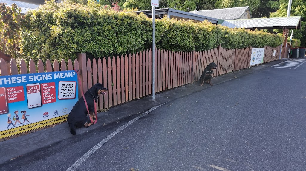 Canine Revolution Dog Training Coffs Harbour | 36 Upper Orara Rd, Karangi NSW 2450, Australia | Phone: 0414 251 177