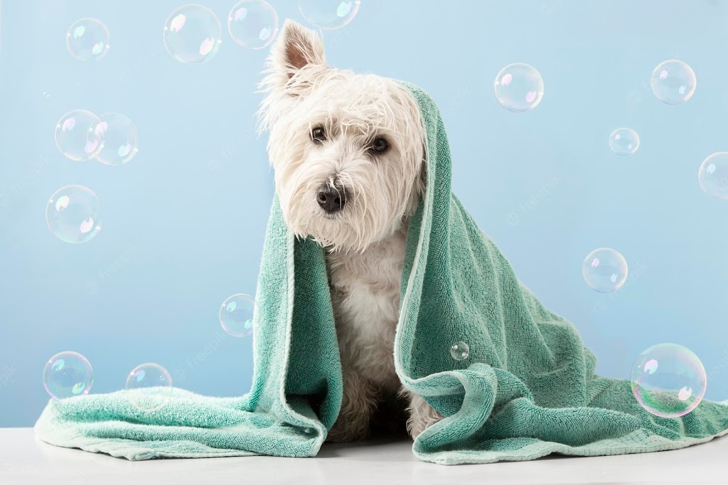 Floofy Dog grooming | 70 Lexton Rd, Strathfieldsaye VIC 3551, Australia | Phone: 0460 879 596