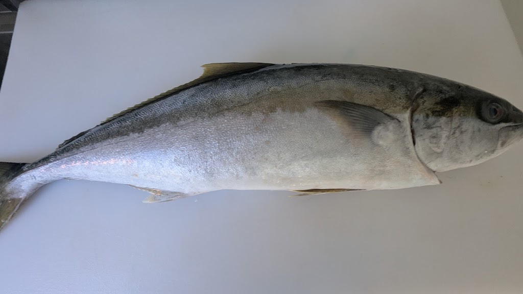 MK FRESH SEAFOODS | 32 Clark St, Colac East VIC 3250, Australia | Phone: 0456 562 061