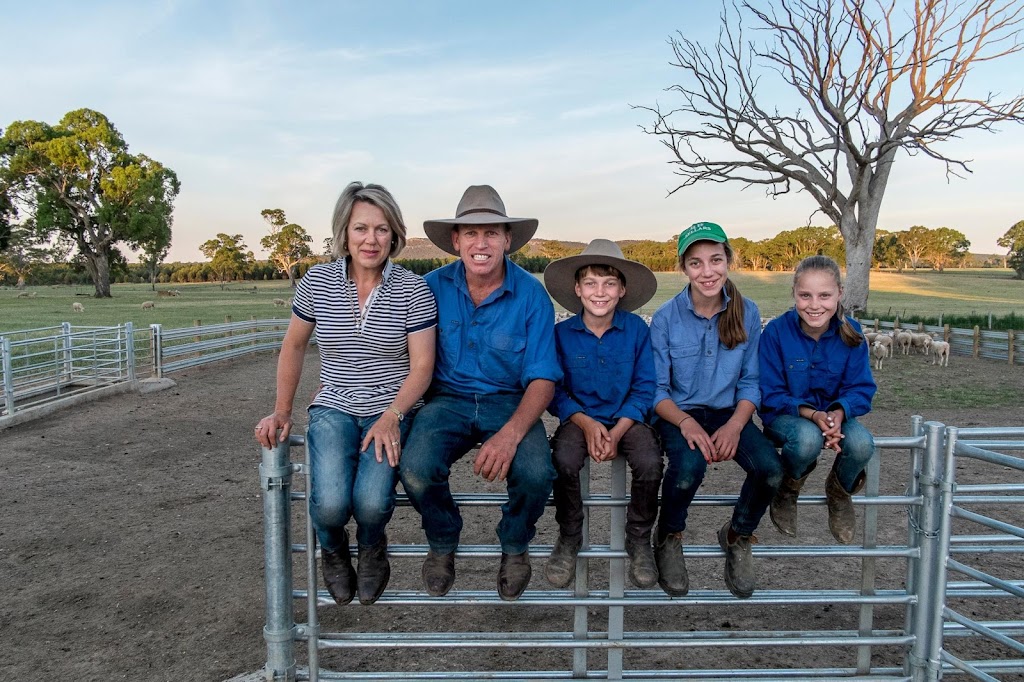 Elfinvale Stud Kelpies | food | 1657 Melville Forest-Vasey Rd, Melville Forest VIC 3315, Australia | 0408546510 OR +61 408 546 510